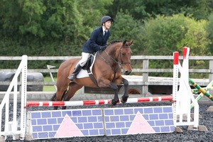 Class 6 - Fences not above 2'9